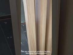 10mm de Muurcomités van het Diktealuminium Architecturale Opgeschorte Vuurvast